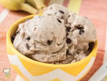 Banana Chocolate Chip Ice Cream