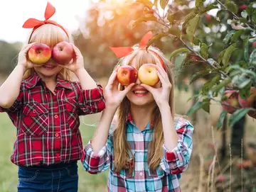 5 Healthy Apple Recipes to Try after Apple-Picking