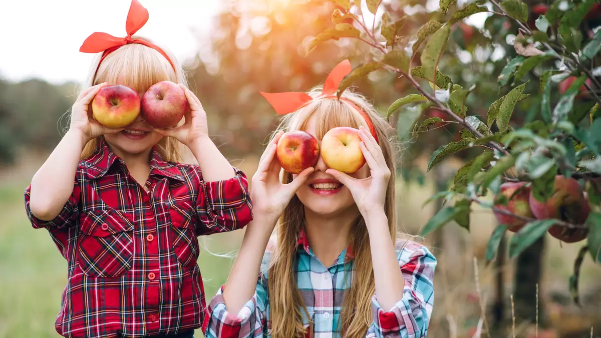 5 Healthy Apple Recipes to Try after Apple-Picking