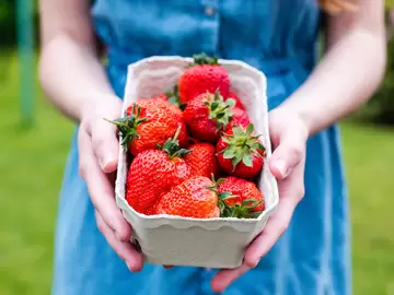 The Best Sweet and Savory Strawberry Recipes