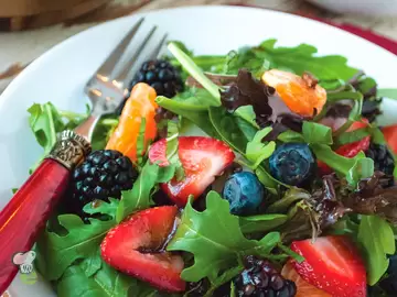 Wild Berry Salad with Chocolate Dressing