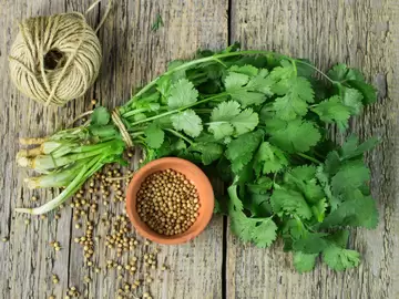Enhance Food Flavor With 3 Simple Ingredients