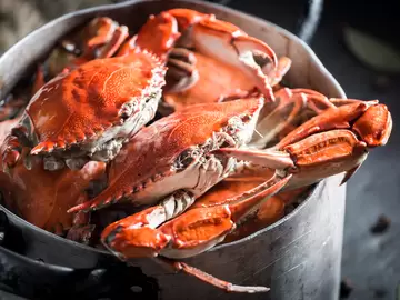 How Long Does It Take to Cook Crab?