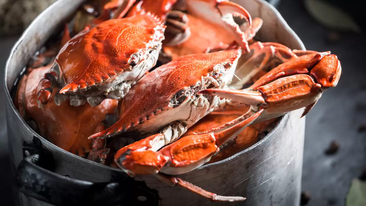 How Long Does It Take to Cook Crab?