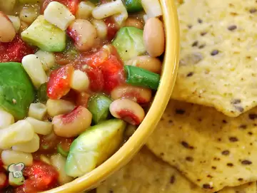 Mississippi Salsa Dip