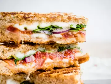 Turkey Artichoke Panini