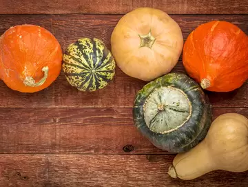 Winter Squash Recipes: Hearty and Economical Meals and Sides