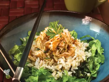 Shredded Chicken Recipes